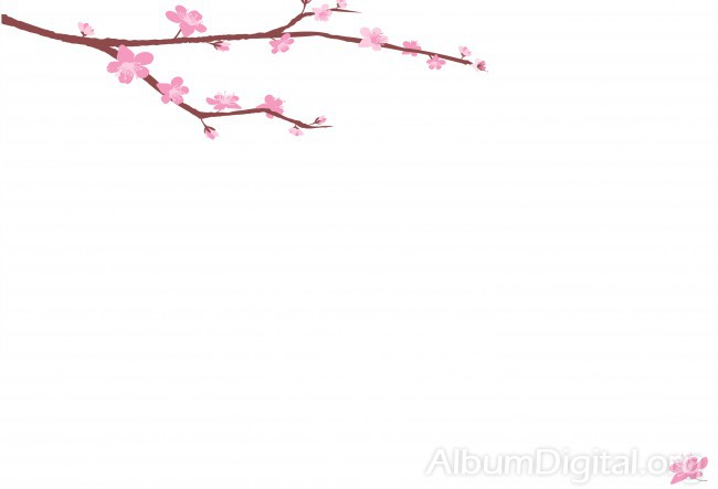 Fondo primavera álbum classic rama de flores rosas
