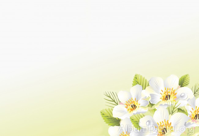 Fondo primavera álbum classic rama  flores blancas y gotas