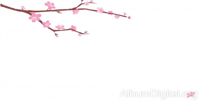 Fondo primavera álbum maxi rama de flores rosas