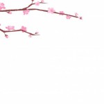 Foto Fondo primavera lbum maxi rama de flores rosas