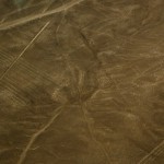 Foto Geoglifos de Nazca el Mono