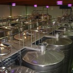 Foto Industria vinicola
