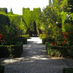 Foto Jardin de los cipreses