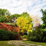 Foto Jardin en otoño