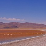 Foto Laguna Colorada Bolivia