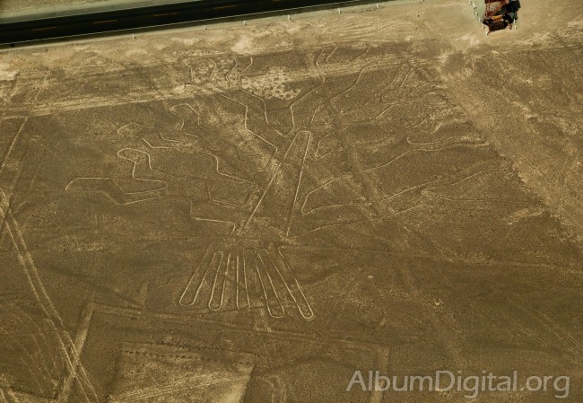 Lineas de Nazca el Arbol