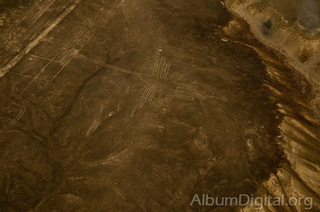 Lineas de Nazca el Colibri