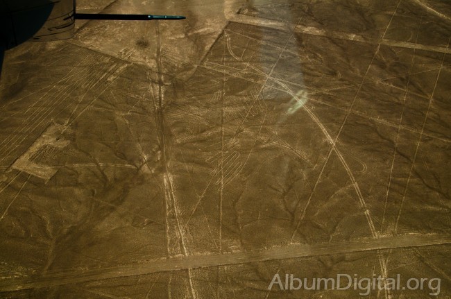 Lineas de Nazca el Condor