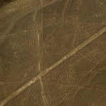 Foto Lineas de Nazca la Ballena