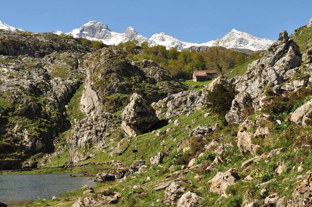 Monte Auseva Covadonga