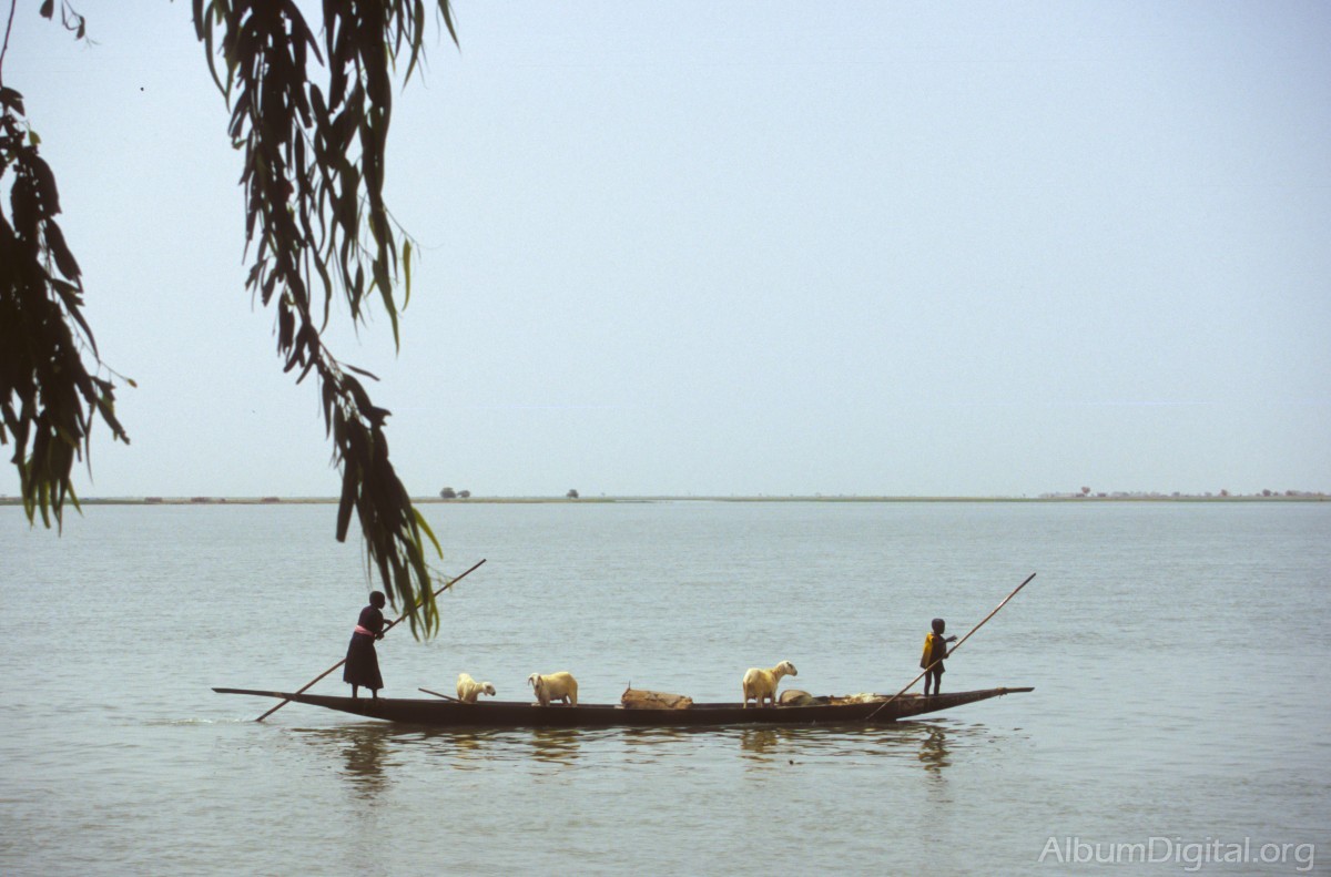 Navegando por el rio Niger
