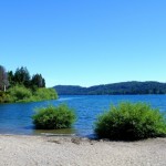 Foto Orilla del lago
