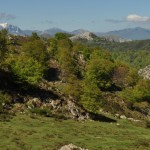 Foto Paisaje de Covadonga