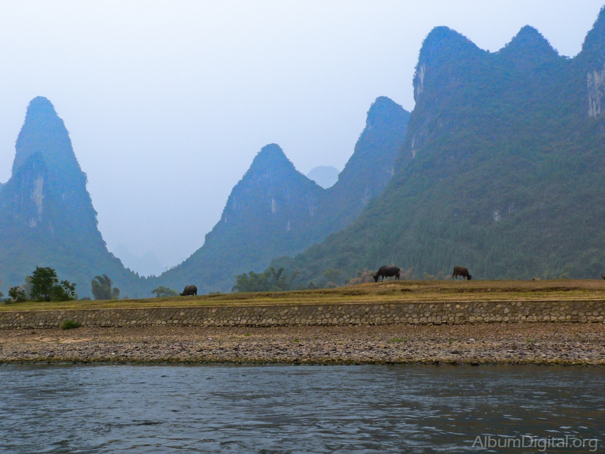 Paisaje del rio Li