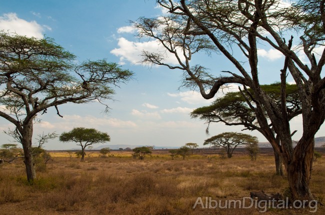 Paisaje del Serengueti