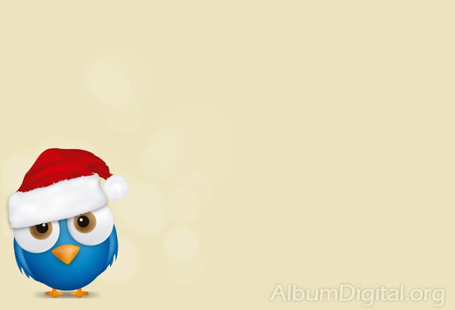 Pájaro azul con gorrito navideño. Fondo para Navidad Hofmann classic