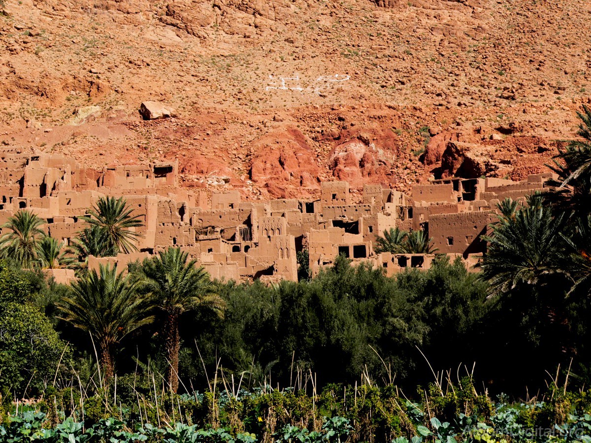Palmeral de Tinerhir Marruecos