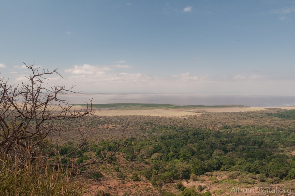 Panoramica de Manyara