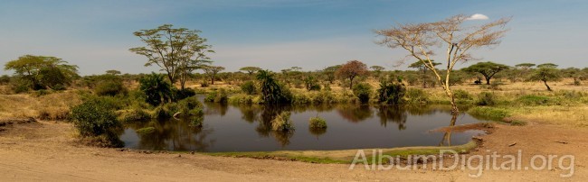 Panorámica del Serengeti