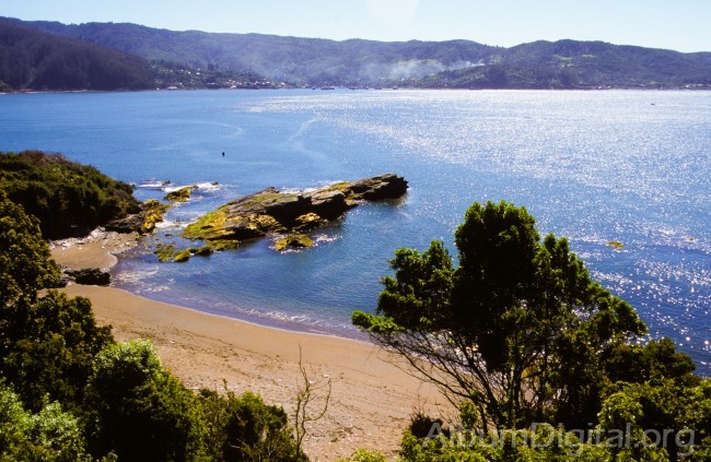 Playa austral Chile