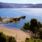 Foto Playa austral Chile