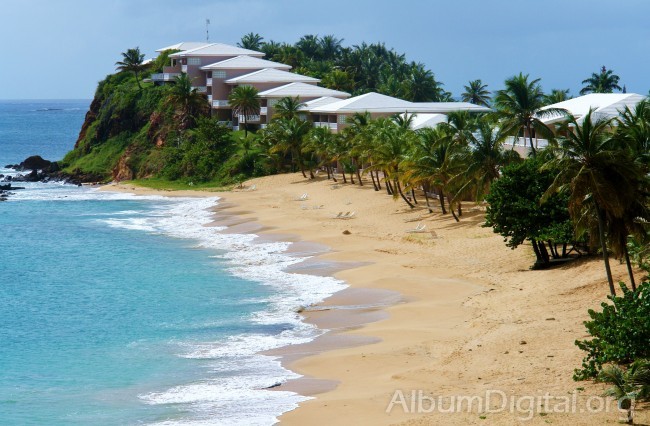 Playa de Les Salines Martinica