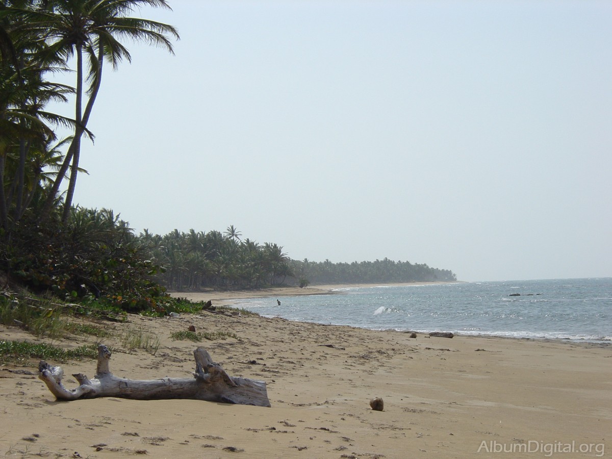 Playa dominicana