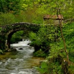 Foto Puente de piedra