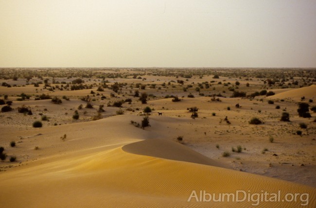 Puerta del desierto en Tombuctu 