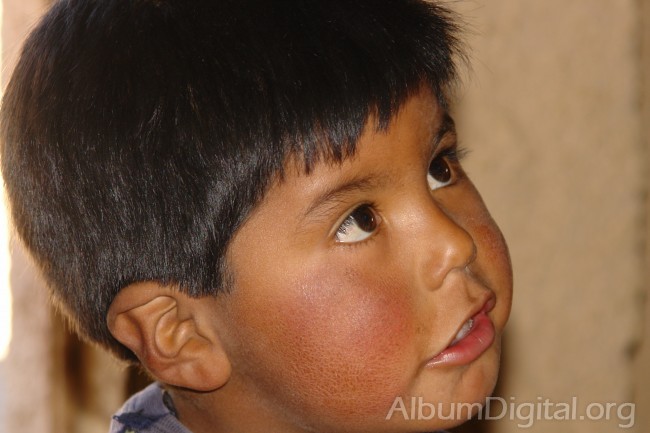 Retrato niño indígena