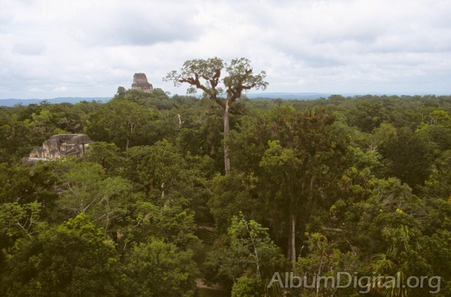 Ruinas de Tikal