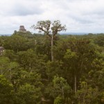 Foto Ruinas de Tikal