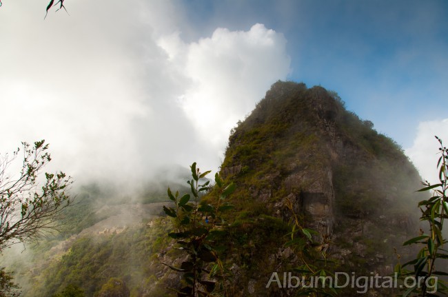 Selva nubosa del Machu Picchu