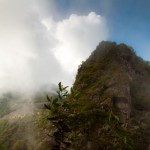 Foto Selva nubosa del Machu Picchu