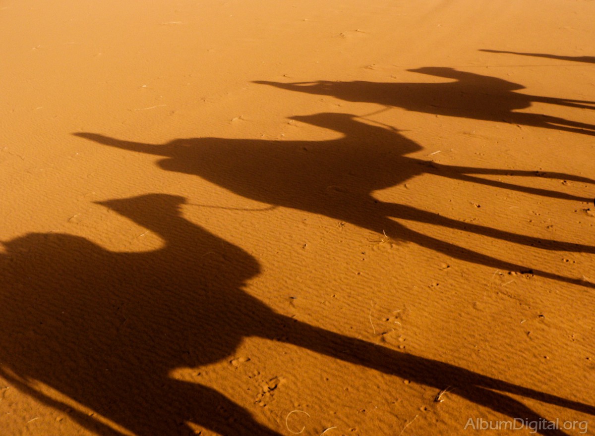 Sombras en la arena del desierto