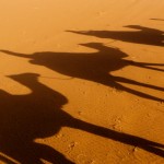 Foto Sombras en la arena del desierto