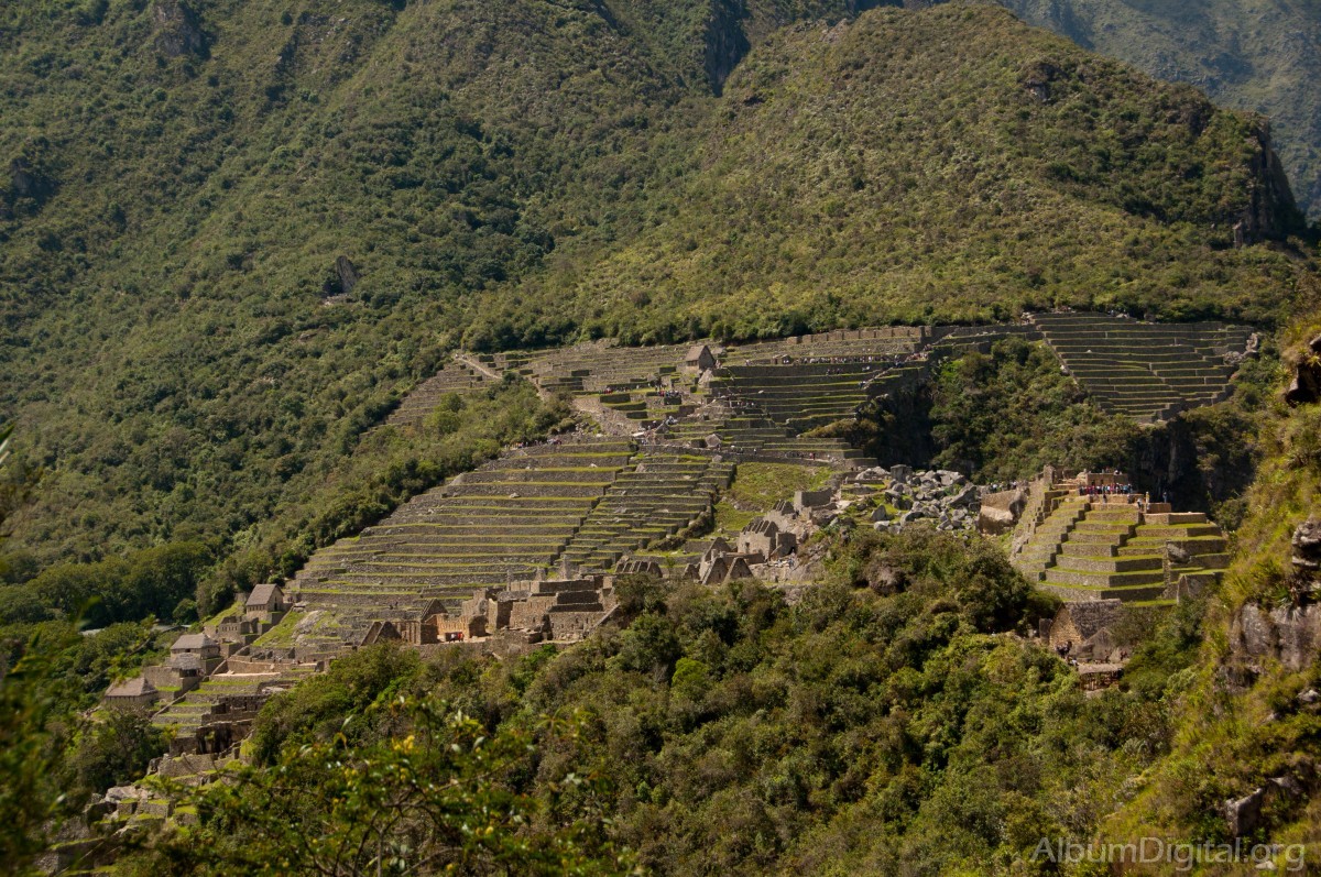 Terrazas en Machu Picchu