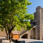 Foto Torre de defensa Carcassonne