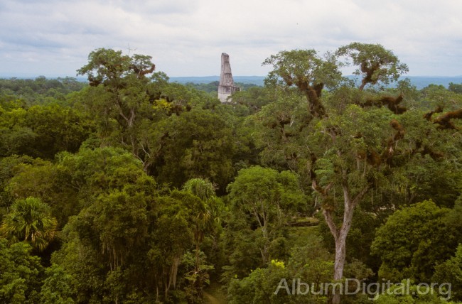Vista de Tikal Guatemala