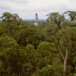 Foto Vista de Tikal Guatemala