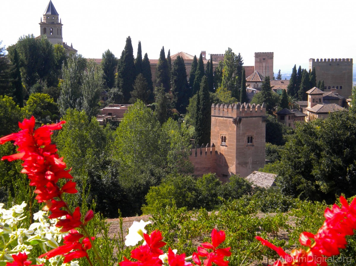 Vista general de la Alhambra