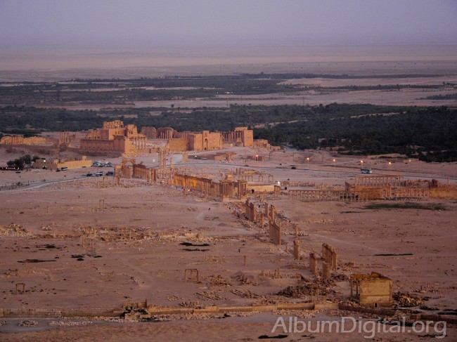 Vista panoramica ruinas de Palmira