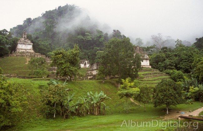 Vista ruinas de Palenque Mexico